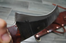 catalog image